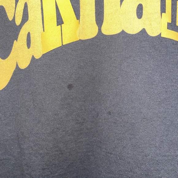 Carhartt WIP Amherst Print T-Shirt - Picture 2 of 4